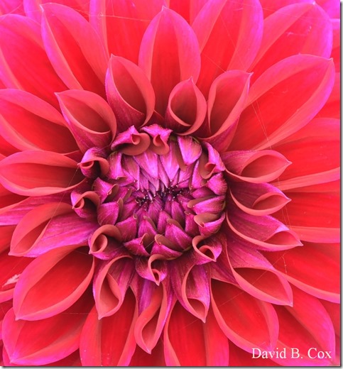 2019 10 7 Blvd & Misc 014