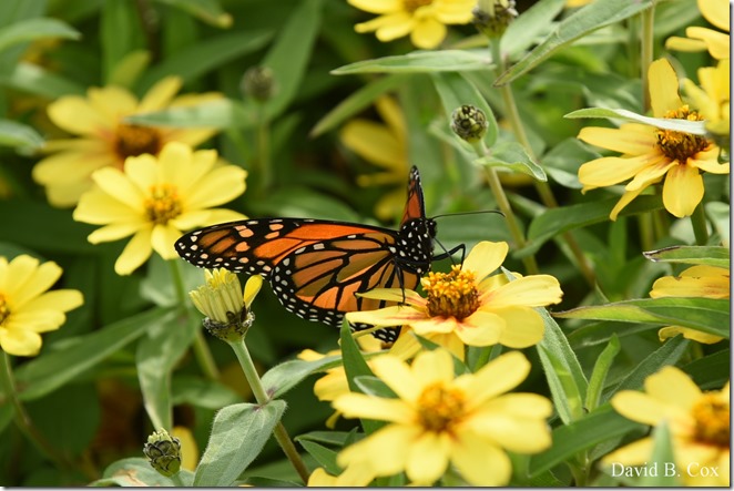 2019 10 7 Blvd & Misc 023