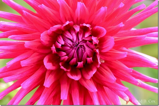 2019 10 7 Blvd & Misc 031