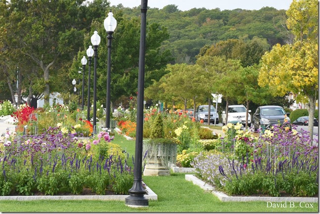 2019 10 7 Blvd & Misc 036