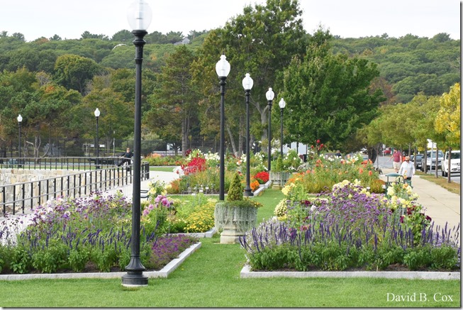 2019 10 7 Blvd & Misc 042