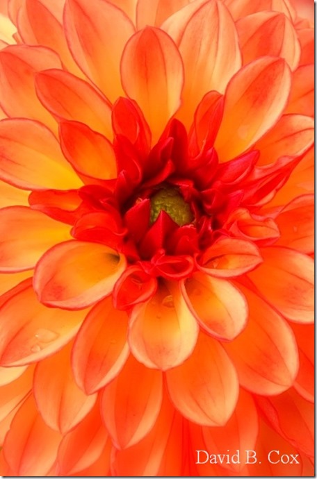 2019 10 7 Blvd & Misc 057