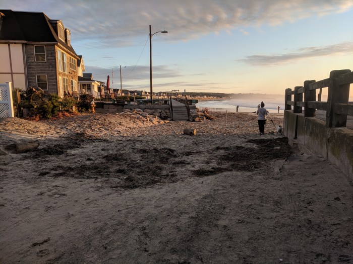 high tide did not reach street _20191013_©c ryan.jpg