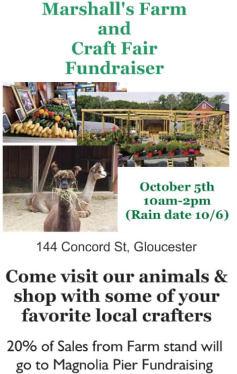 Marshalls craft fair