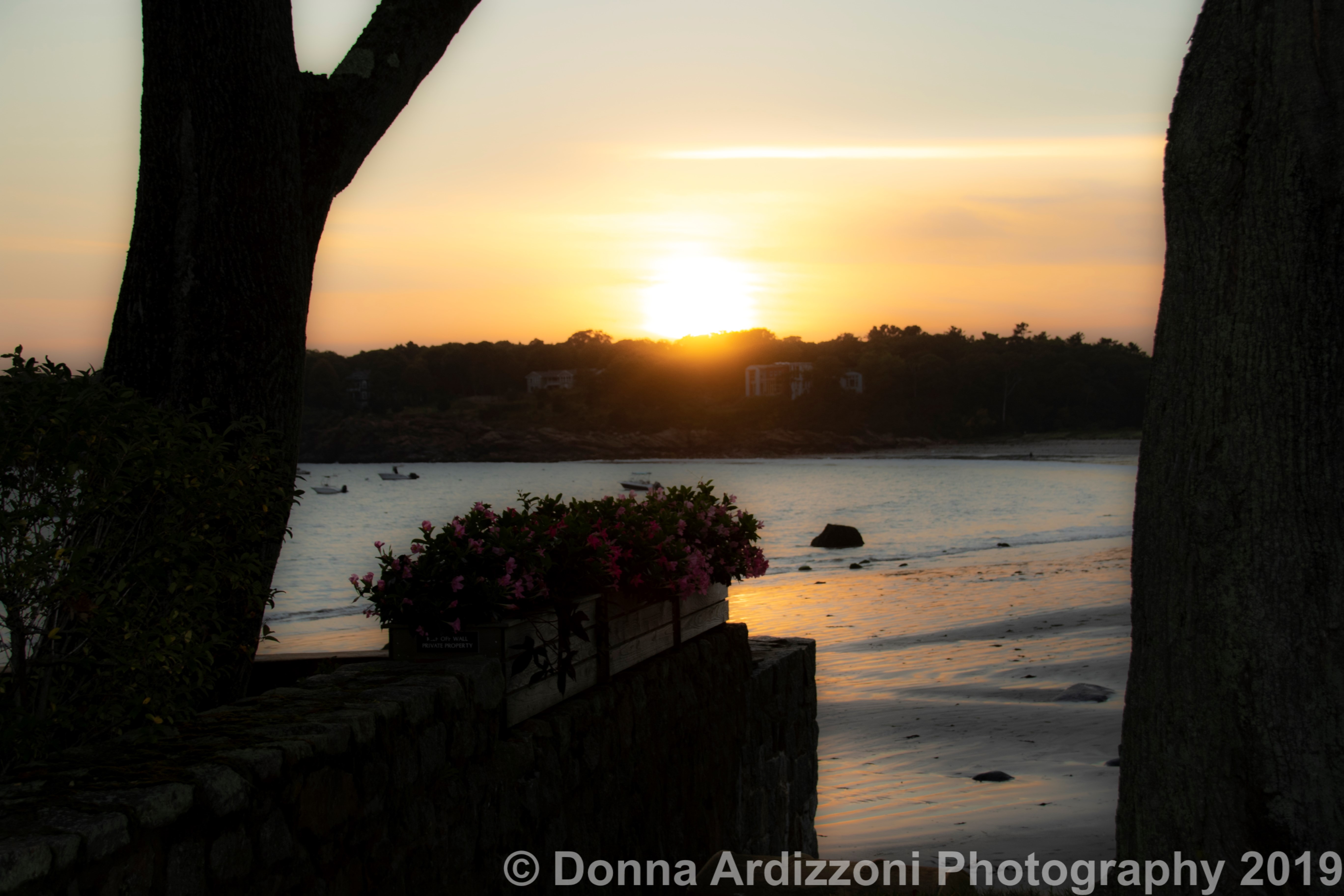 October 1, 2019 Framed by the trees