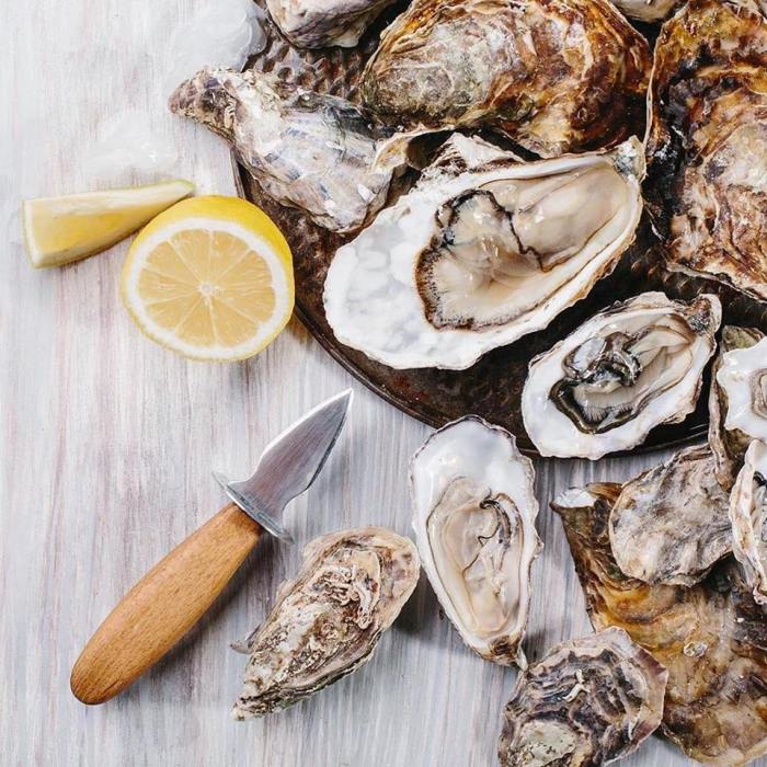 Oysters-one-dollar-feather-and-wedge-rockport-ma