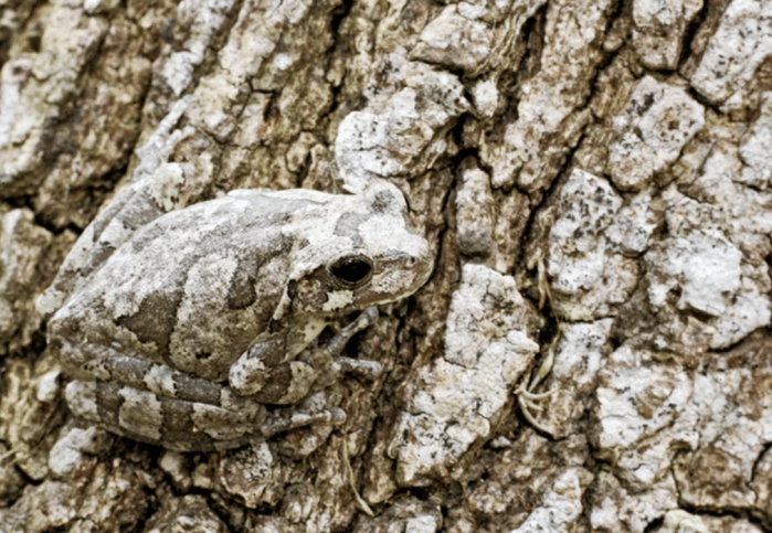 Screen Shot 2019-10-31 at 8.44.08 AM