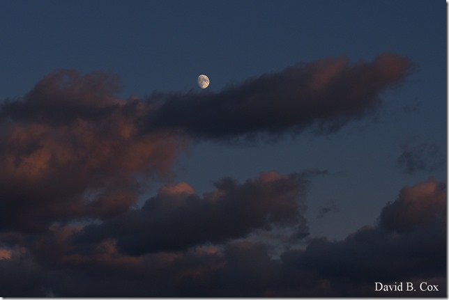 2019 11 08 Gen Gardeners & Skies 021