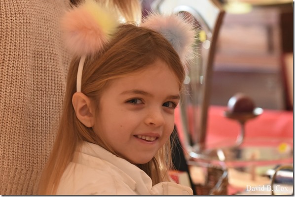 2019 11 24 Seacoast Sale 006