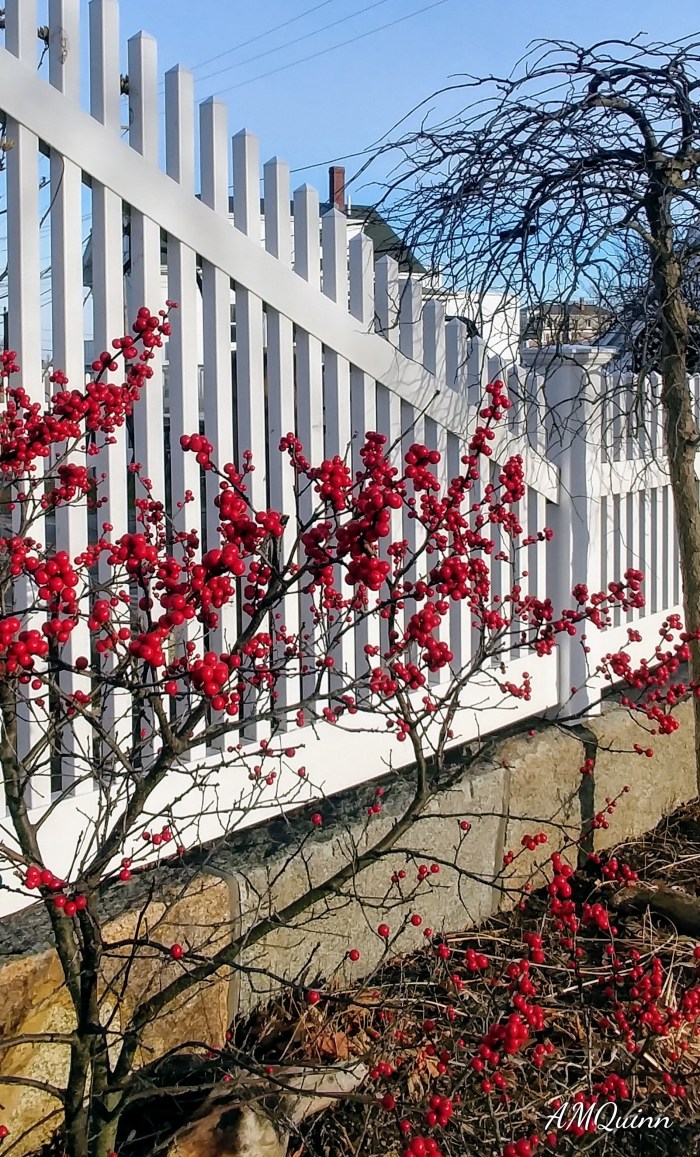 1229191444_HDR_Signature