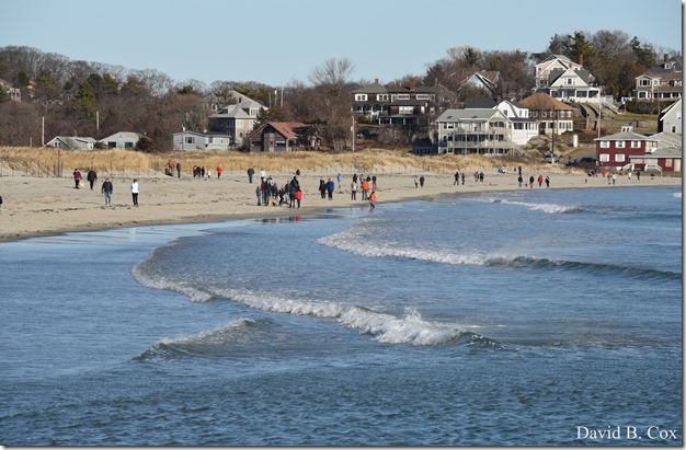 2019 12 28 Polar Plunge 033