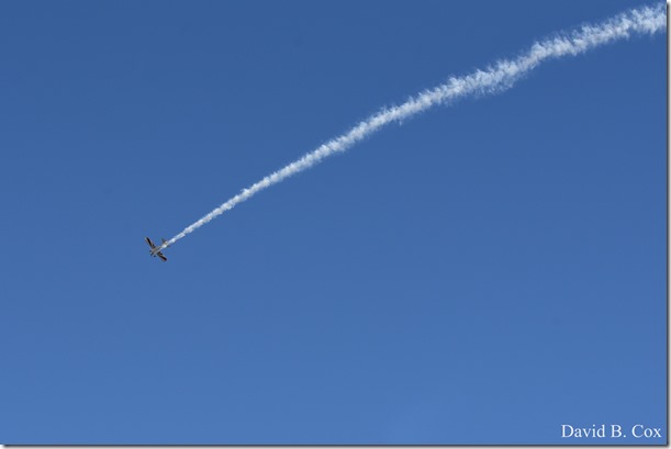 2019 12 28 Polar Plunge 099