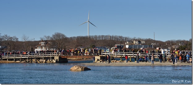 2019 12 28 Polar Plunge 107