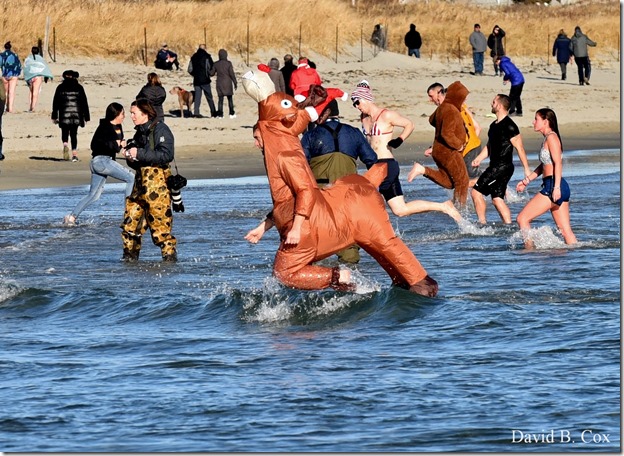 2019 12 28 Polar Plunge 193
