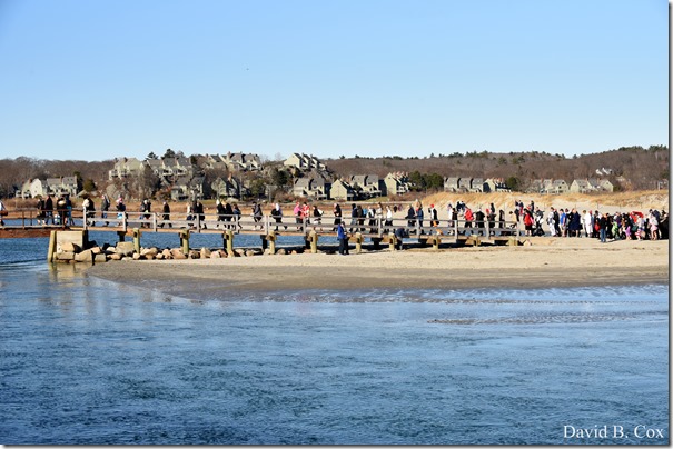 2019 12 28 Polar Plunge 221