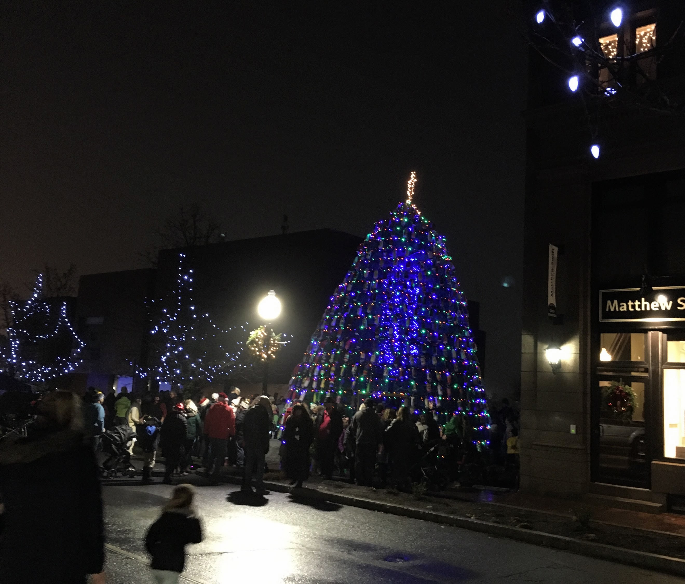 Lobster Trap buoy tree Gloucester MA © Margaret McDonald 2019