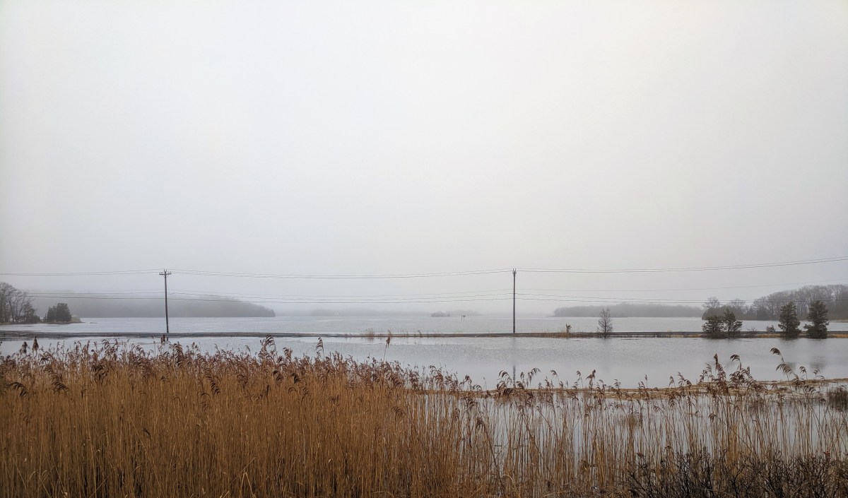 High tides Good Morning Gloucester
