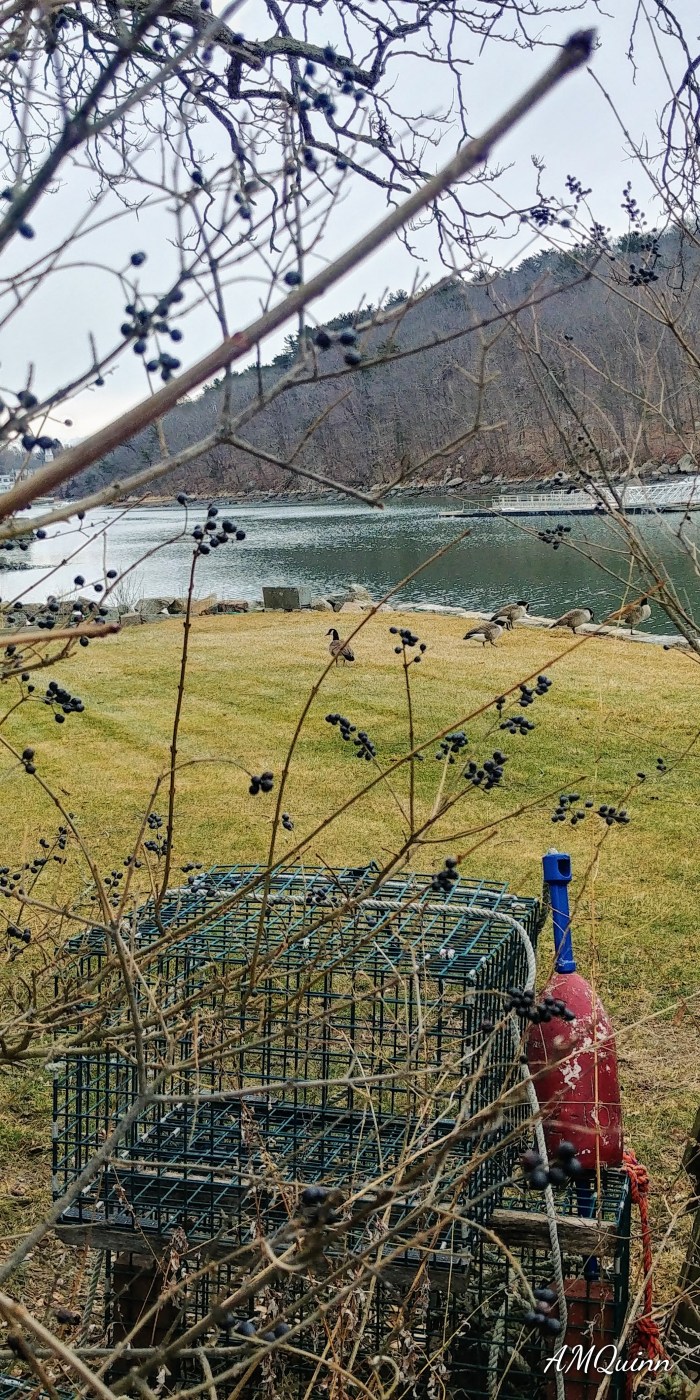 0118201442a_HDR_Signature