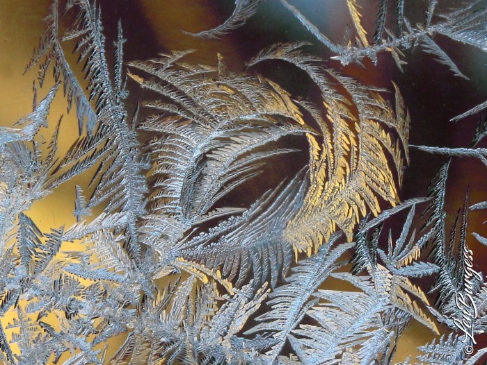 IceCrystals(b) 1-22-20_1594_edited-1.jpg