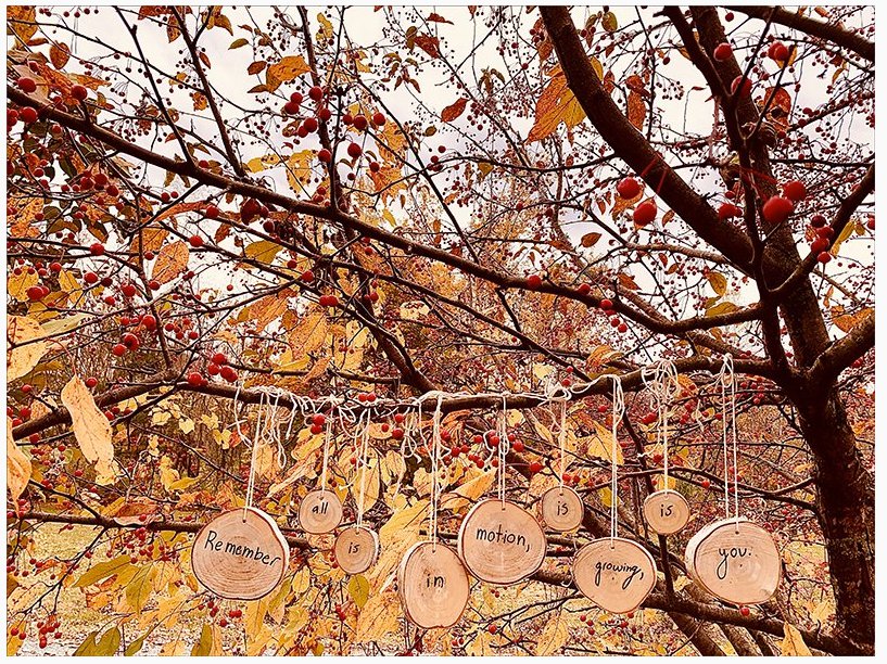 SAMANTHA AIKMAN winner 2020 National Poetry Month Poster Contest for Students_photograph