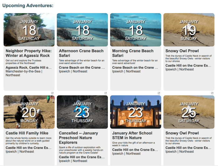 Screen Shot 2020-01-17 at 9.05.41 AM