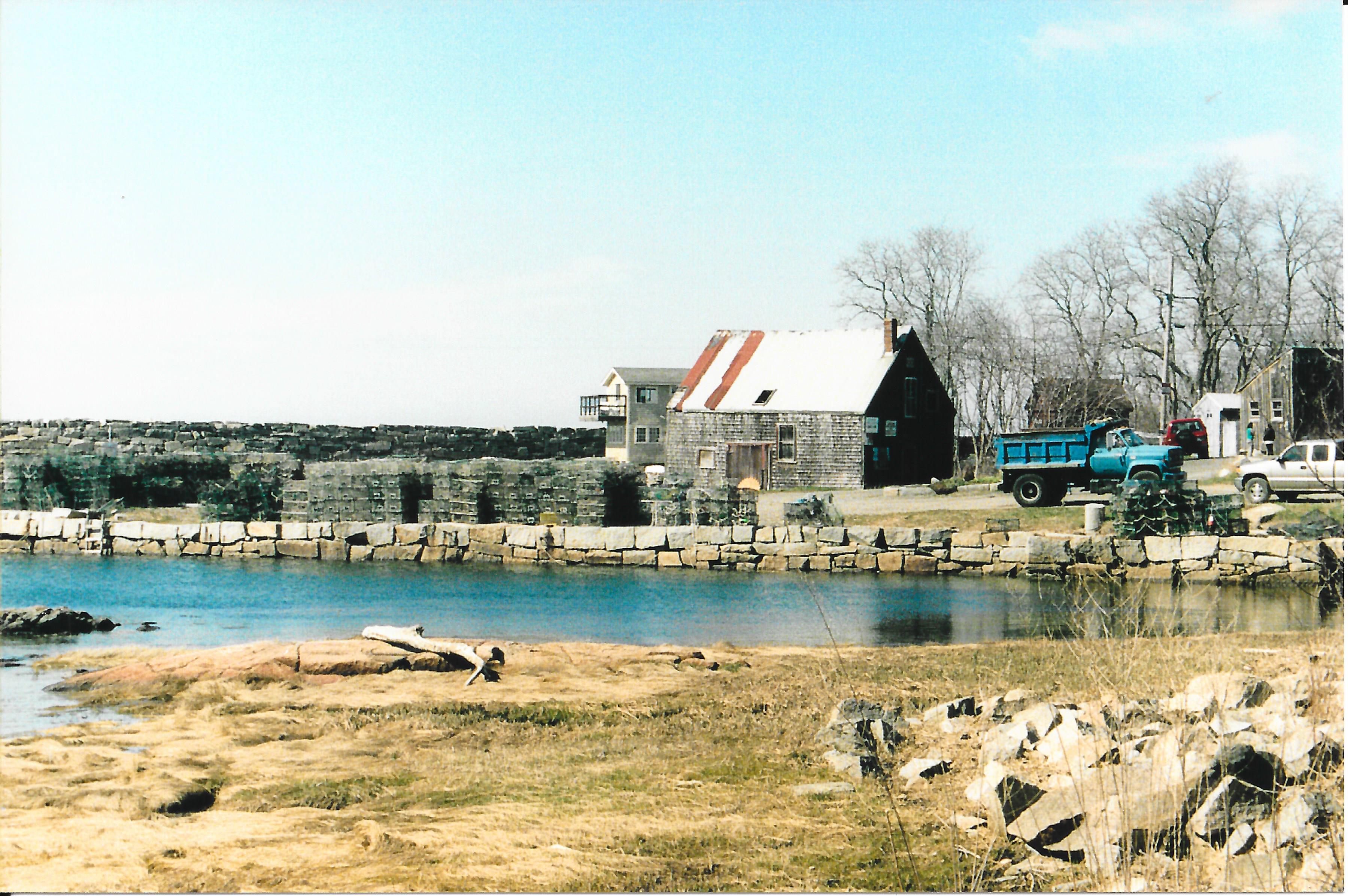 Lanes Cove Spring 2003