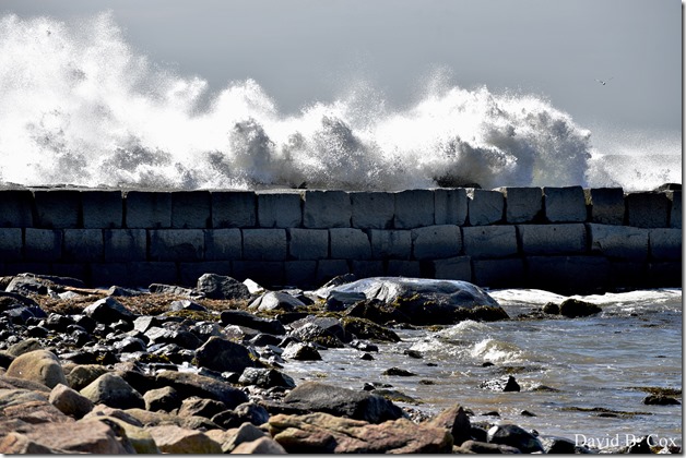 2020 3 14 A Day Wandering 006