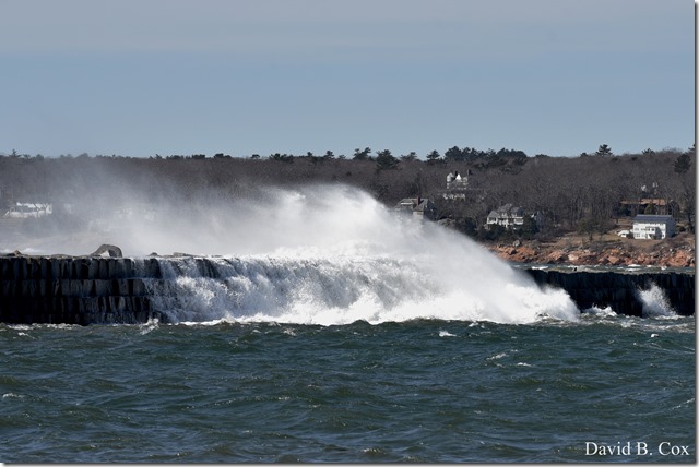 2020 3 14 A Day Wandering 009