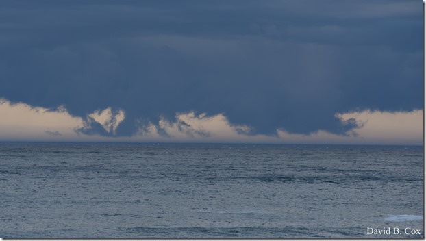 2020 3 14 A Day Wandering 040