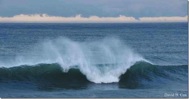 2020 3 14 A Day Wandering 059