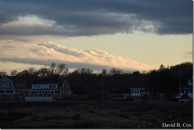 2020 3 14 A Day Wandering 062