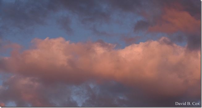 2020 3 14 A Day Wandering 084