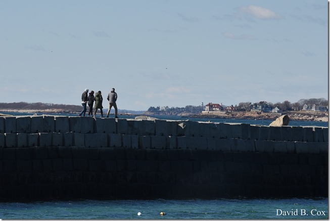 2020 3 14 A Day Wandering 090