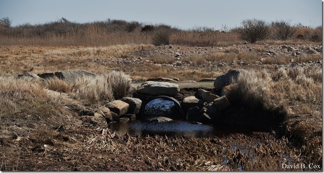 2020 3 14 A Day Wandering 094