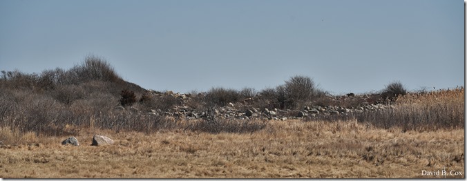 2020 3 14 A Day Wandering 096