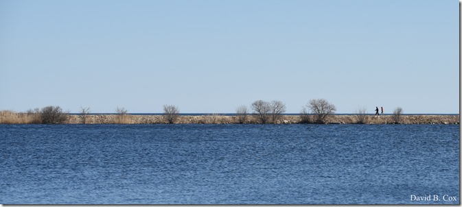 2020 3 14 A Day Wandering 111