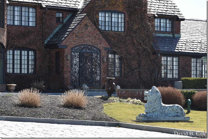 2020 3 14 A Day Wandering 133