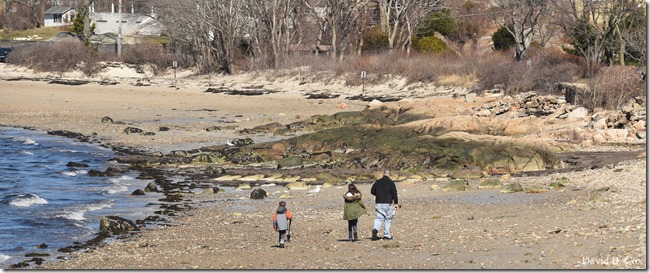 2020 3 14 A Day Wandering 135