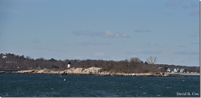 2020 3 14 A Day Wandering 138