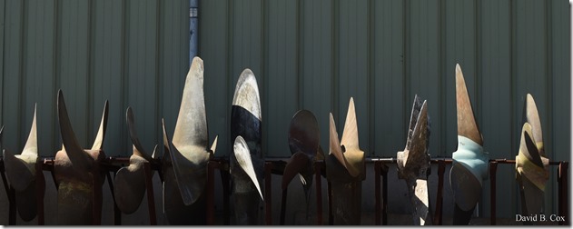 2020 3 14 A Day Wandering 146