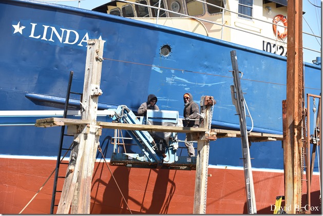 2020 3 14 A Day Wandering 148