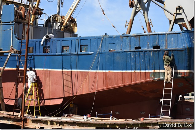 2020 3 14 A Day Wandering 160