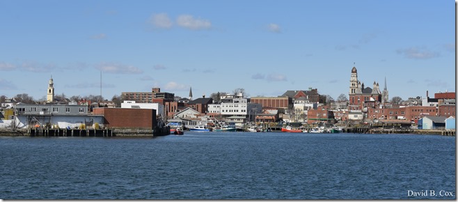 2020 3 14 A Day Wandering 166