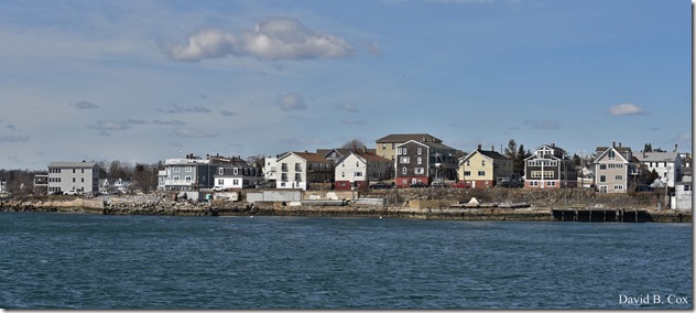 2020 3 14 A Day Wandering 169