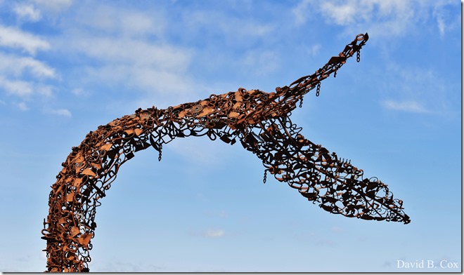 2020 3 14 A Day Wandering 173