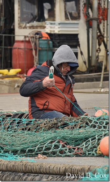 2020 3 14 A Day Wandering 181