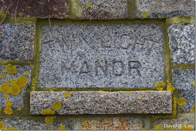 2020 3 25 Bk Sh Surf & Eve Lighting 016