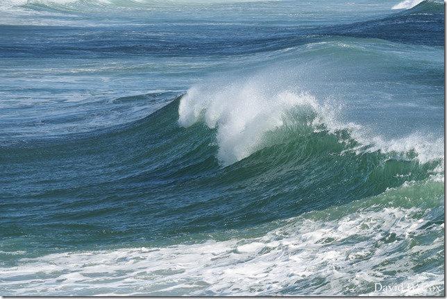 2020 3 25 Bk Sh Surf & Eve Lighting 022