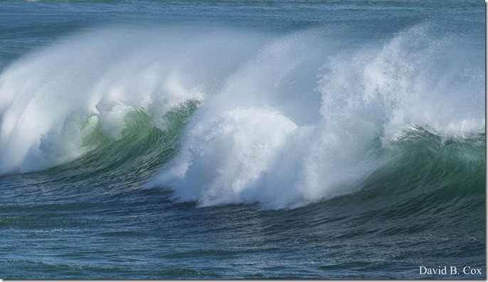 2020 3 25 Bk Sh Surf & Eve Lighting 023