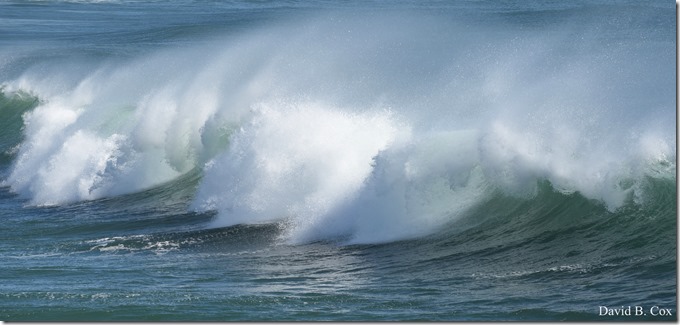 2020 3 25 Bk Sh Surf & Eve Lighting 024